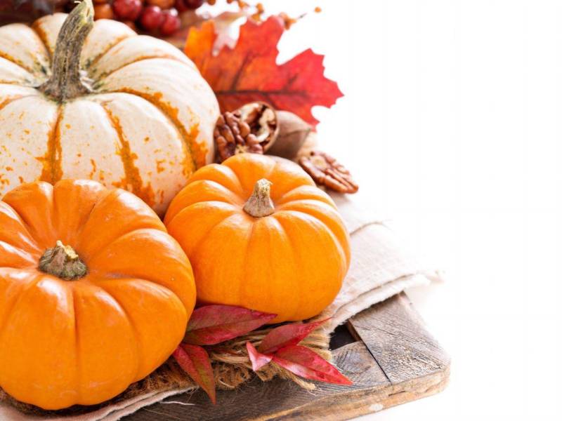 Cerca del 70% de las ventas anuales de productos vinculados a este sabor se concentran exclusivamente en la ventana que va de septiembre a noviembre.