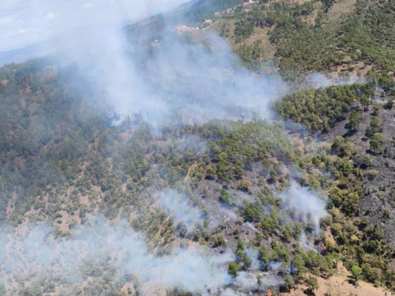 Al menos siete incendios forestales se registraron en distintos puntos de Honduras, lo que obligó al despliegue de brigadas terrestres y apoyo aéreo para intentar controlar las llamas, especialmente en el sector de El Hatillo, en las cercanías de Tegucigalpa, donde el fuego continúa activo.