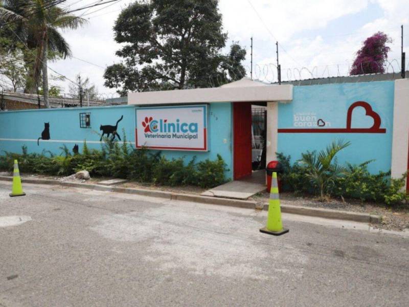 Funeraria del Pueblo y Veterinaria Municipal seguirán operando en Tegucigalpa, anuncia alcalde