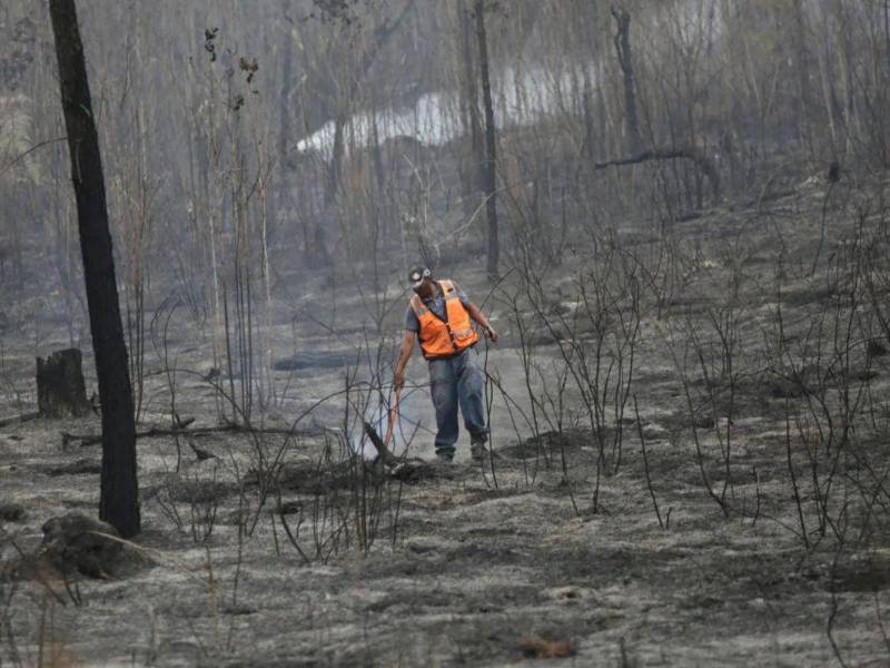 La ausencia de lluvias en Honduras preocupa a ganaderos, agricultores y a la población en general, debido a las afectaciones que ya se manifiestan en la falta de disponibilidad de agua para el consumo animal.