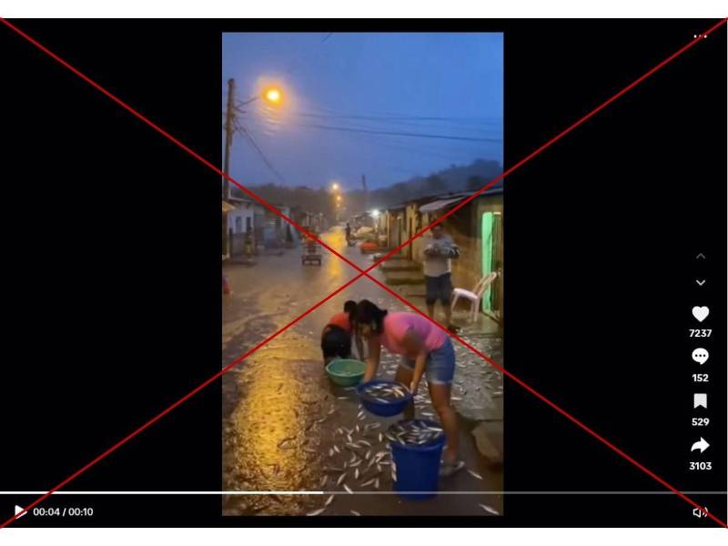 Captura de pantalla a una publicación de TikTok hecha el 22 de octubre de 2025.