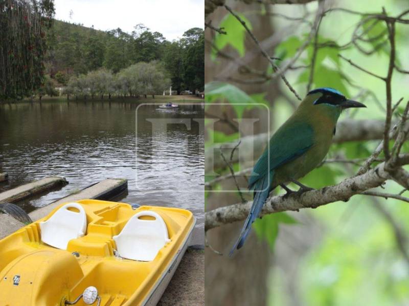 Cada año, el Parque Aurora se convierte en uno de los destinos favoritos para disfrutar en familia durante la Semana Santa 2026, ofreciendo un espacio de recreación familiar y ambiente con la naturaleza