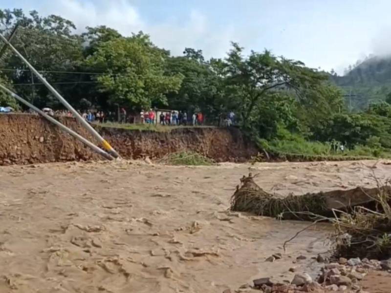 Dos postes del tendido eléctrico también cedieron ante la crecida del río Vallecillos.