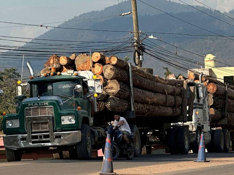 Los incendios forestales, la tala ilegal y las plagas afectan cada año entre 60,000 y 70,000 hectáreas de los bosques de Honduras, causando un fuerte impacto en la industria maderera, según fuentes oficiales y la que es considerada como principal empresa del sector en el país centroamericano.