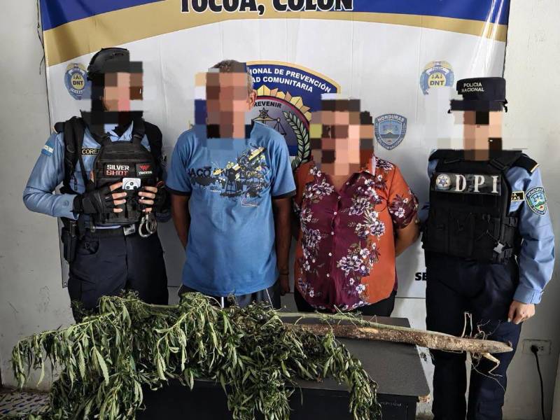Un equipo de la DPI llegó para recuperar a la menor, donde se les encontró una planta de supuesta marihuana.