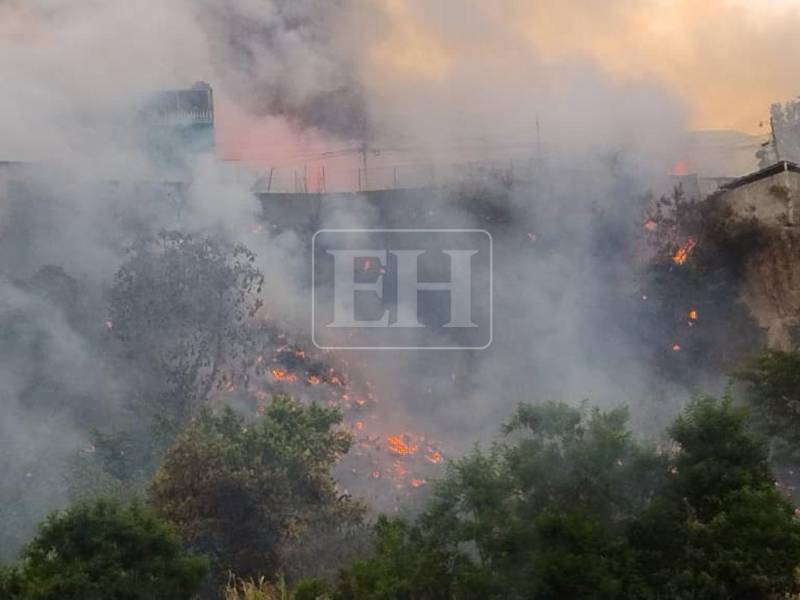 Varias familias resultaron afectadas y sufrieron pérdidas materiales tras un pavoroso incendio registrado este domingo en el sector de La Rivera de La Vega, en Tegucigalpa. Aquí las imágenes.