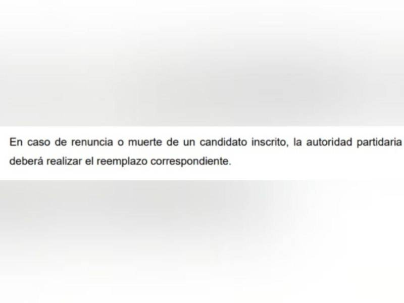 Captura de pantalla al artículo 213 de la Ley Electoral.