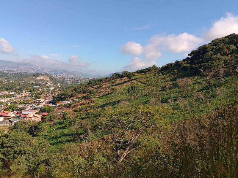 En la sur en contubernio con el IP se están permitiendo más invasiones.