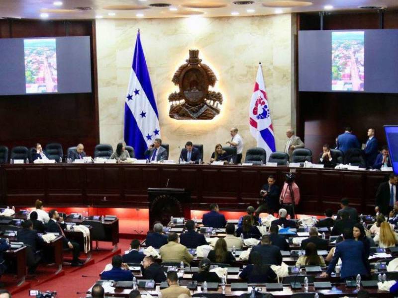 El CN aprobó una reforma que permitirá distribuir anticipadamente fondos líquidos incautados entre siete instituciones de seguridad y justicia, bajo condiciones legales y mecanismos de control para garantizar la transparencia y la eventual devolución de los recursos.