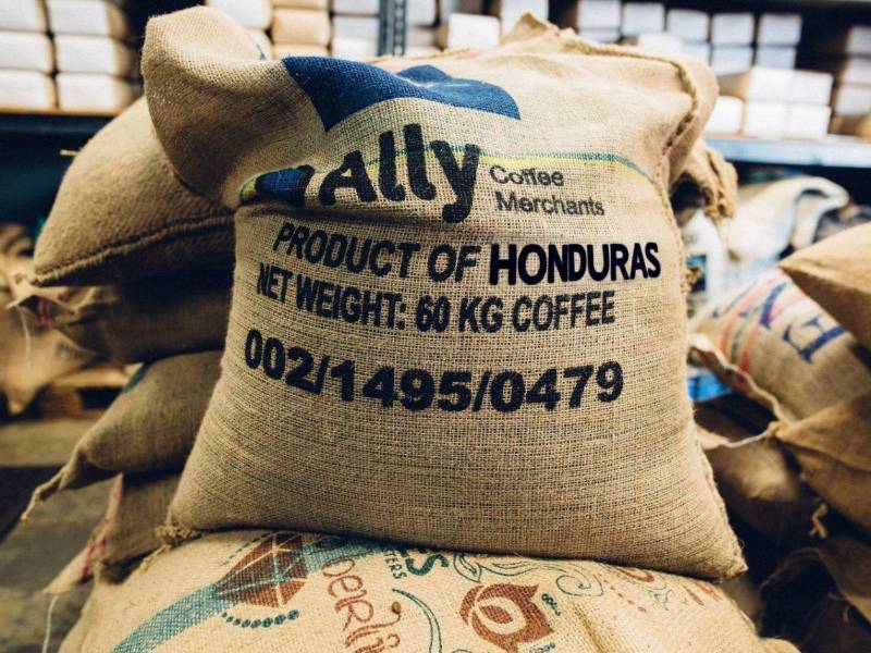 El café se cosecha con técnicas sostenibles, asegurando que cada grano cumpla con los estándares.