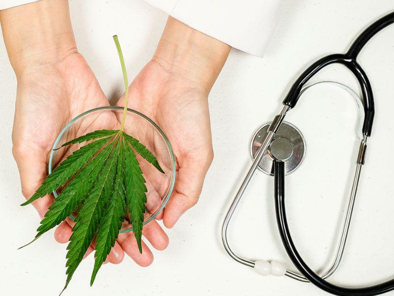 Grupo de expertos en Japón a favor de medicamentos derivados del cannabis