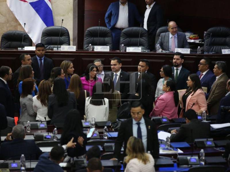 OACNUDH pide al Congreso Nacional elegir autoridades electorales por mérito y no por política.