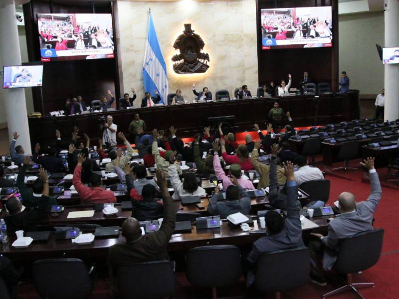 La sesión realizada por el Congreso Nacional es inconstitucional y ilegal.