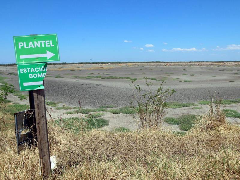 Al menos 200 fincas están sin producir, debido al cierre del mercado más importante para el camarón.