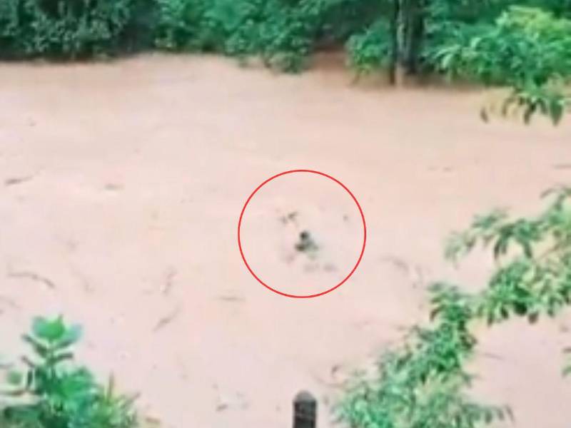Momento en que el jovencito era arrastrado por la fuerza del agua del río Patuca.