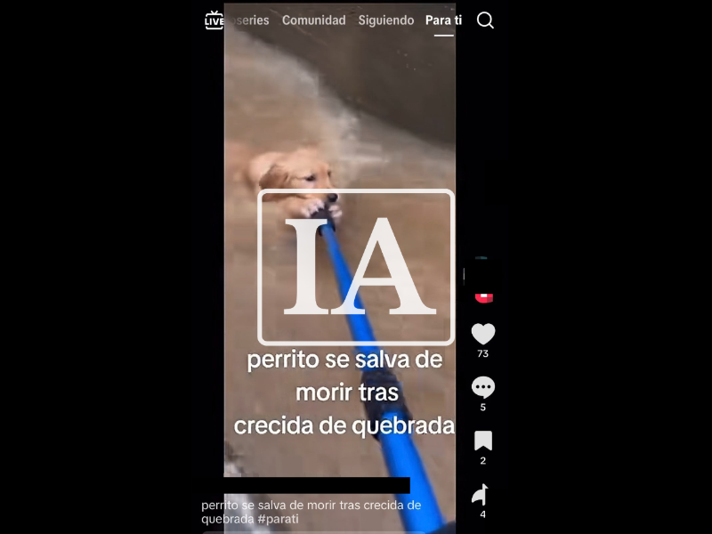 Captura de pantalla a una publicación de Tik Tok hecha el 5 de octubre de 2026