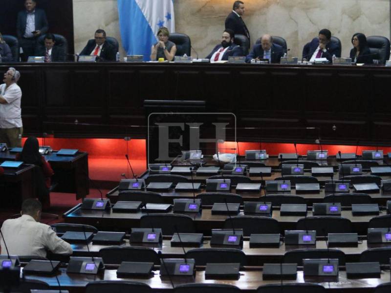 Mientras los congresistas de oposición sesionaban fuera del CN, dentro del Legislativo Redondo y oficialistas iniciaron su sesión.