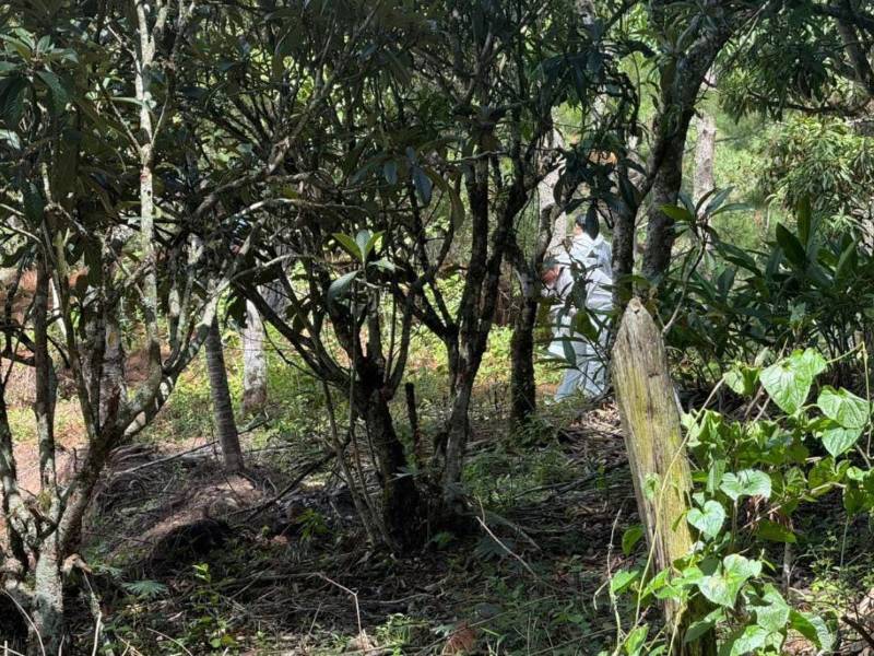 En un sector montañoso del sector de Corralitos, a inmediaciones de La Tigra, fue encontrado el cuerpo en estado de descomposición del joven comerciante Víctor Isaías Sánchez Flores.