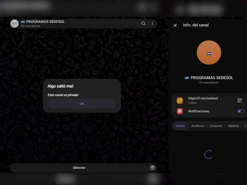 Captura de pantalla al canal PROGRAMAS SEDESOL que difundía el falso bono.