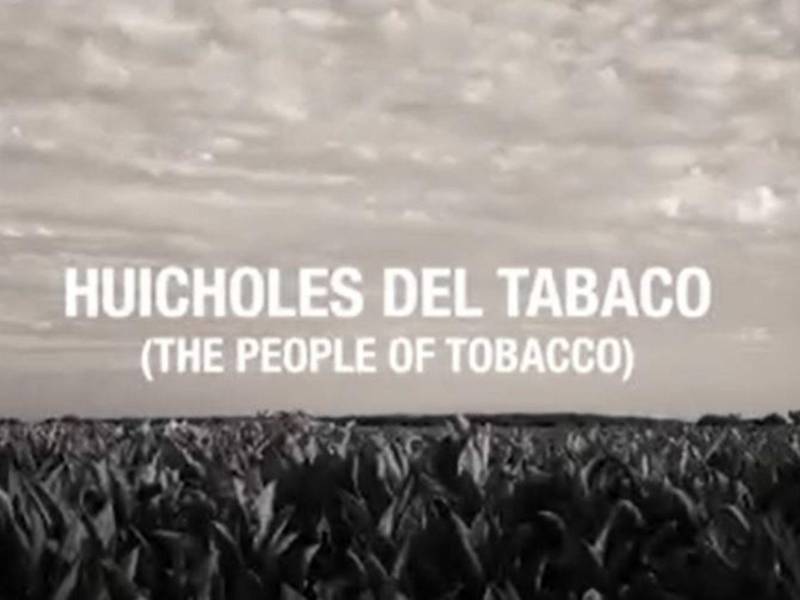 El corto documental “Huicholes del tabaco” del mexicano César Rodríguez, abrió en 2017 la categoría de Mejor Cortometraje Latinoamericano.