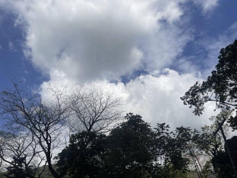 En gran parte del territorio hondureño prevalecerán las condiciones secas.