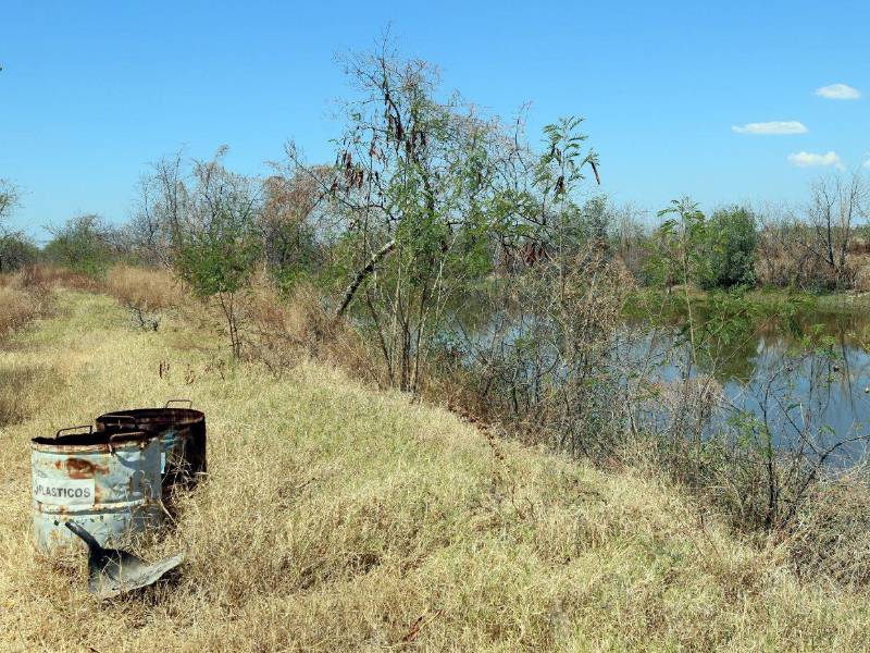 Los productores de camarón demandan asistencia de la SAG y la Secretaría de Ambiente para que conozcan su realidad.