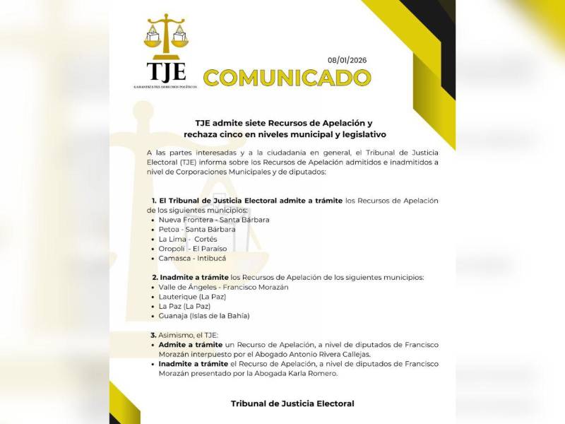 TJE admite recursos de apelación; cinco a nivel municipal y uno de diputados