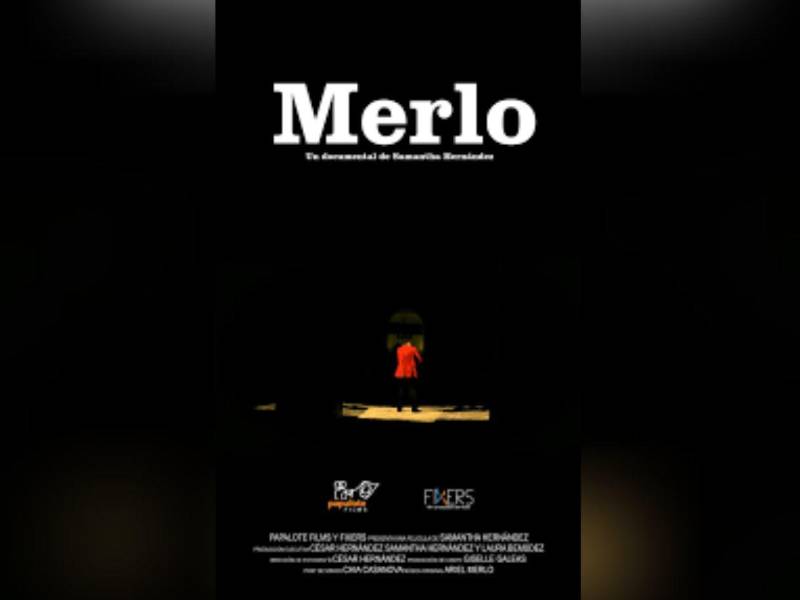 El corto “Merlo” de Samantha Hernández, ganó el premio a Mejor Documental y Mejor Dirección en 2016.