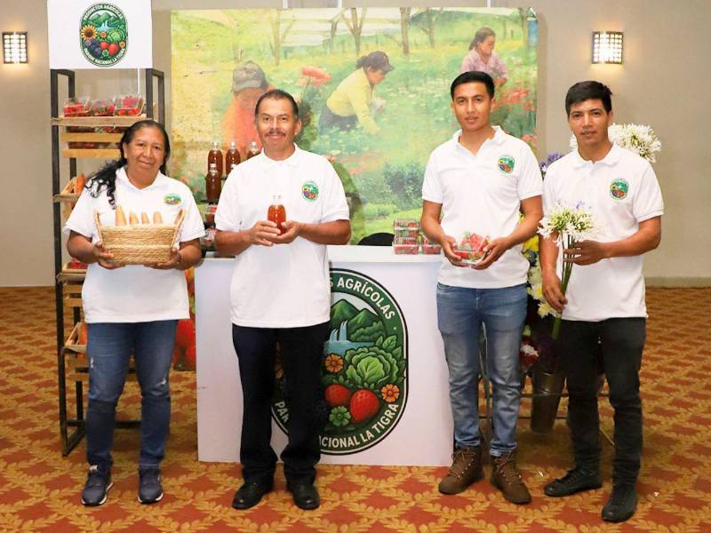 Grupo de emprendedores que formaron parte del lanzamiento de la plataforma digital Shopineoh.com.