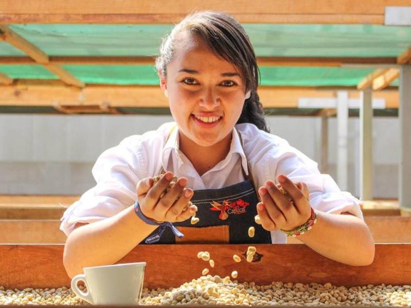 El barismo femenino gana espacio en Honduras como una oportunidad de formación, empleo y transformación social, conectando el origen del café con la taza y visibilizando el aporte de mujeres que fortalecen la cadena de valor del café hondureño.