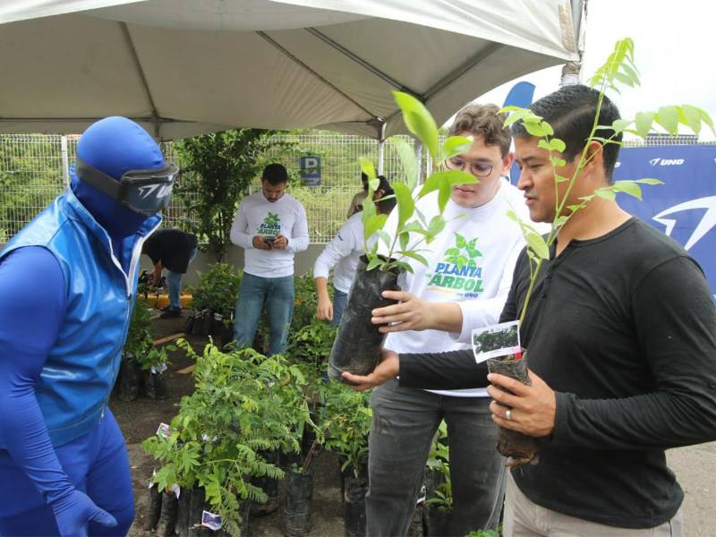 Cada árbol que entregamos simboliza esperanza, compromiso y la oportunidad de construir un mejor futuro para Honduras.