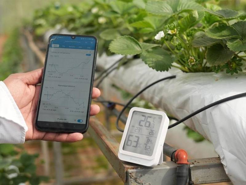 Invernaderos modernos y sistemas de riego automatizados marcan el salto tecnológico del proyecto.