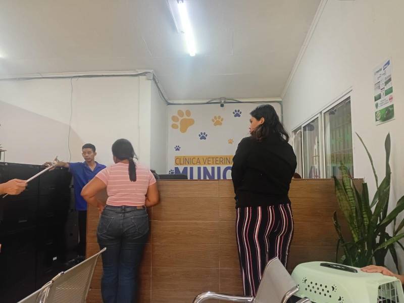La veterinaria municipal estará cerrada este 18 y 19 de junio por adecuamiento en sus instalaciones, anunciaron autoridades