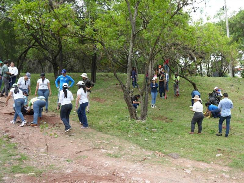 Con el plan de reforestación, la AMDC busca heredar un entorno ordenado con espacios sanos para la convivencia ciudadana.
