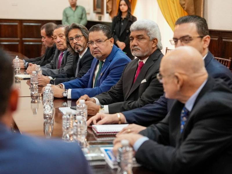 El exconsejero del CNE explicó que nos enfocamos en reformas electorales que son torales partiendo de la radiografía que dan las misiones de observación electoral.