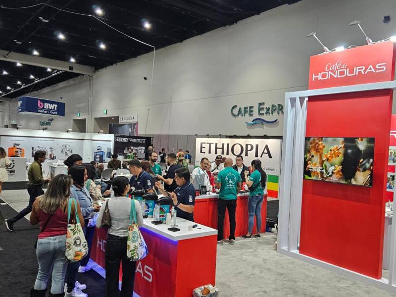 Espacios de degustación permitieron resaltar los perfiles únicos de las seis regiones cafetaleras del país.
