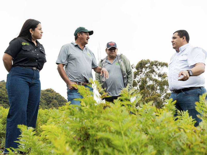 Un total de 76 productores, entre ellos 23 mujeres y 53 jóvenes, serán beneficiados con acceso a financiamiento, insumos, semillas y asistencia técnica empresarial para fortalecer sus capacidades productivas y comerciales.
