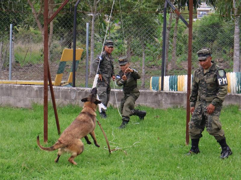 Instructores realizan una demostración de adiestramiento en la pista de entrenamiento. Las prácticas refuerzan la agilidad y obediencia de los canes para cumplir misiones con éxito