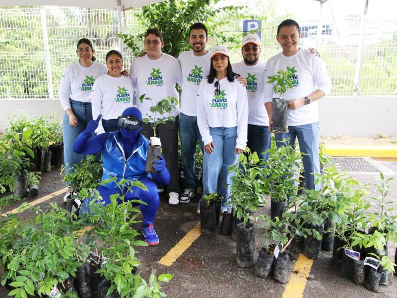 Voluntarios de UNO y Fundación Terra participaron activamente en la entrega de árboles durante la campaña “Planta un árbol con UNO”.