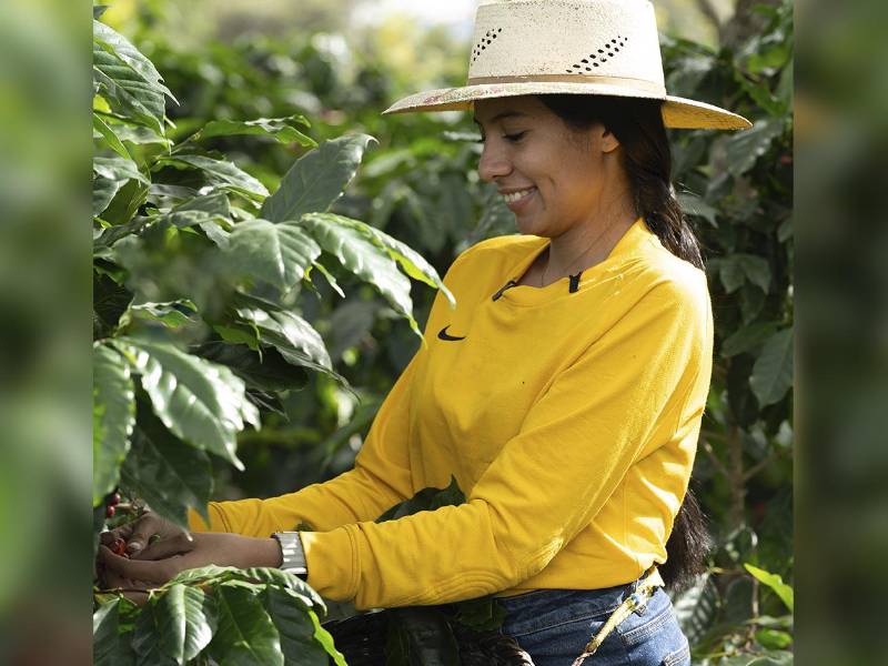 Belkis Mejía, barista y catadora hondureña, representa a una nueva generación de mujeres que conectan la finca con la taza.