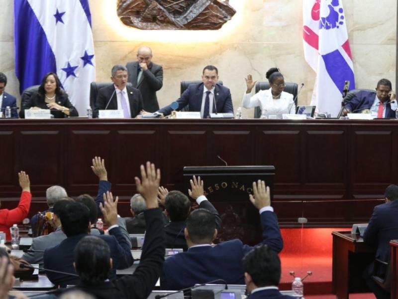El Congreso Nacional abrirá el debate sobre las propuestas para reformar la ENEE, que difieren en aspectos como la propiedad de los activos, el manejo de la deuda y los contratos de largo plazo.