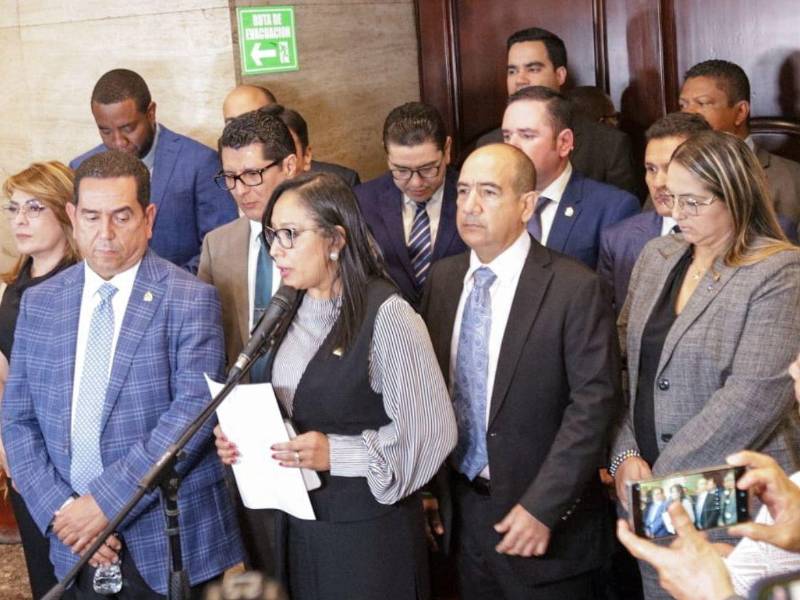 Comisión especial del Congreso Nacional evalúa los perfiles de aspirantes a magistrados del Tribunal de Justicia Electoral como parte del proceso de selección.