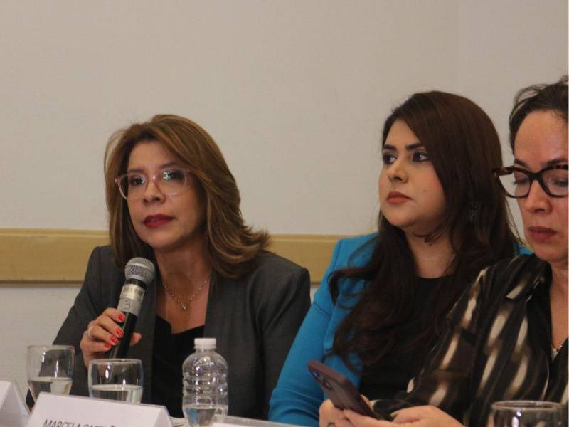 La exdirectora de fiscales, Danelia Ferrera, y la exministra de Seguridad, Marcela Castañeda, figuran entre las profesionales del derecho que participaron en la elaboración del informe.