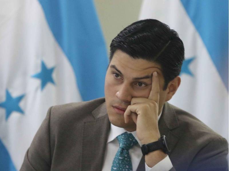 Marlon Ochoa impulsa una propuesta que busca dejar fuera de la observación electoral a organizaciones como la ASJ y el CNA.