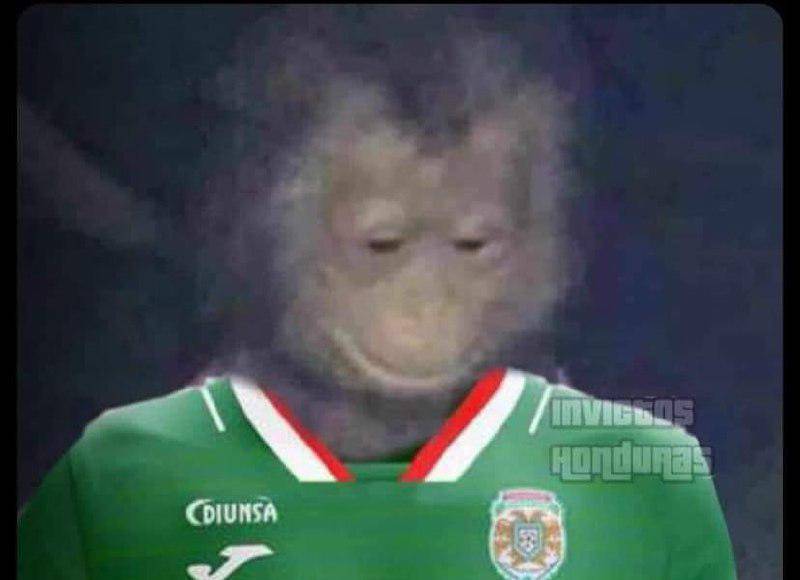 ¡Rugió el león! Los mejores memes que dejó el triunfo de Olimpia ante Marathón