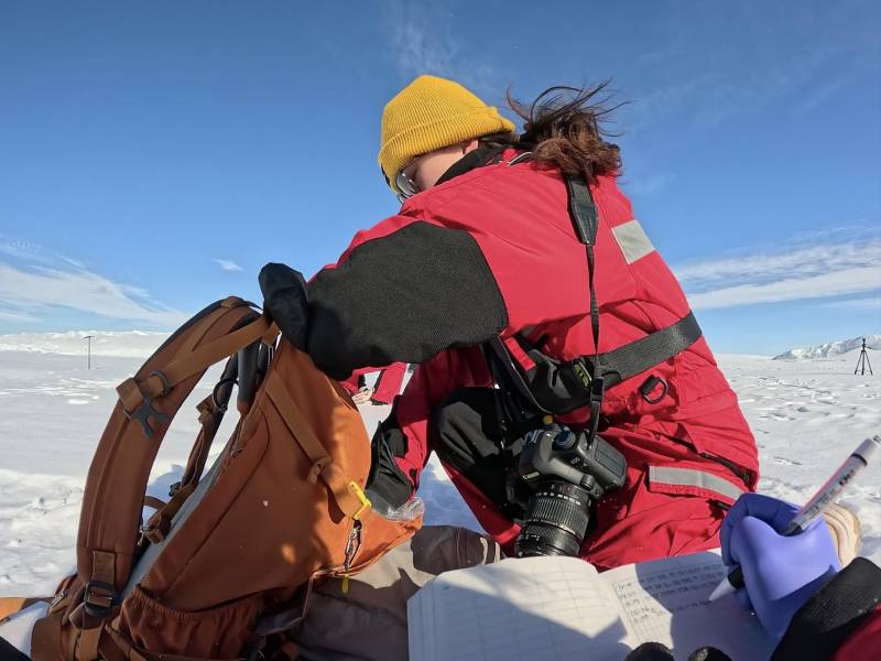 Focas de Weddell, científicas antárticas que miden el océano profundo