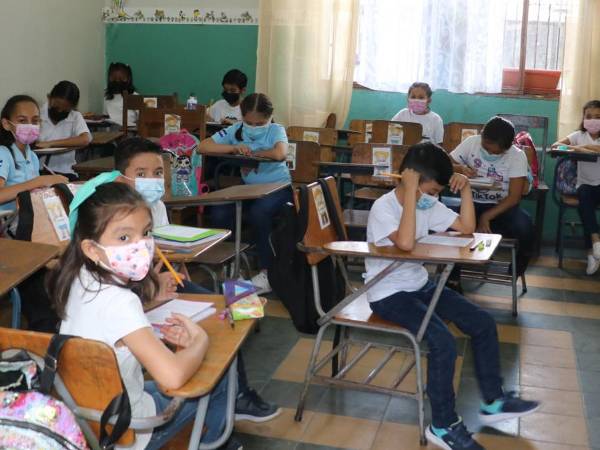 El desarrollo de las actividades escolares de los estudiantes podrá ser monitoreado por lo padres de familia a partir del próximo año.