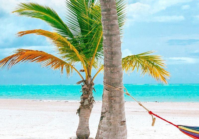 10 cosas que debe conocer de República Dominicana, sede del juego de la Bicolor