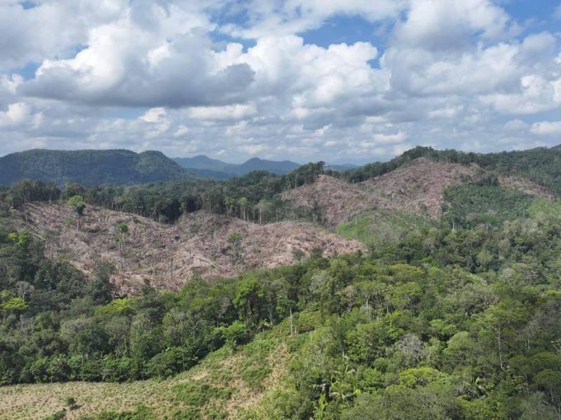 A finales de 2024, Castro tuvo que retroceder de forma temporal en la medida de desalojar las zonas núcleo de parque nacionales y reservas naturales por las protestas de un grupo de ganaderos.
