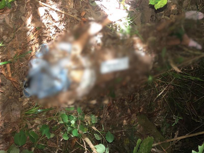 “Mami, no me espere: último mensaje de Rosi Izaguirre antes de ser encontrada muerta en La Tigra